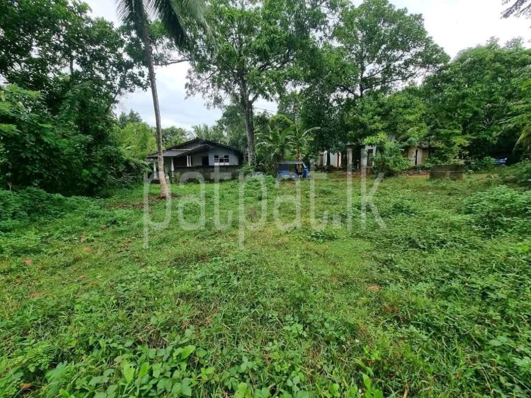 Residential Land for Sale in Mirigama