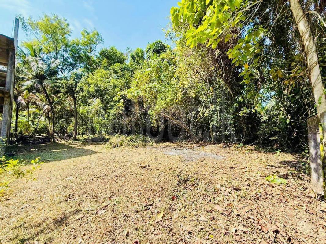 Residential Land for Sale in Katunayake