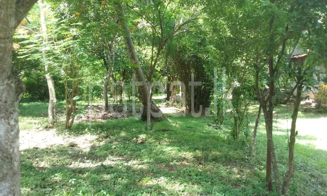 Agricultural Land for Sale in Wariyapola