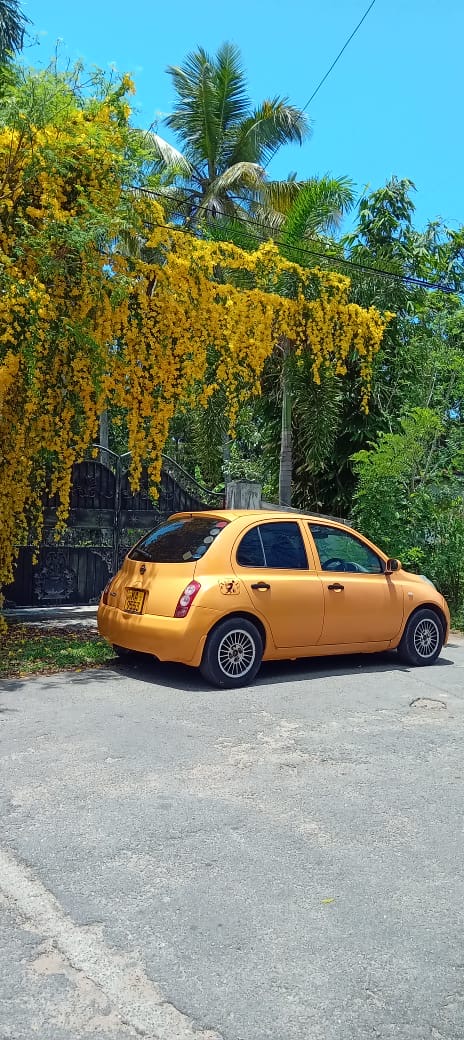 Advertisement image 6