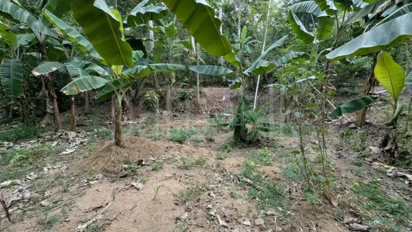 Commercial Land for Sale in Yakkala