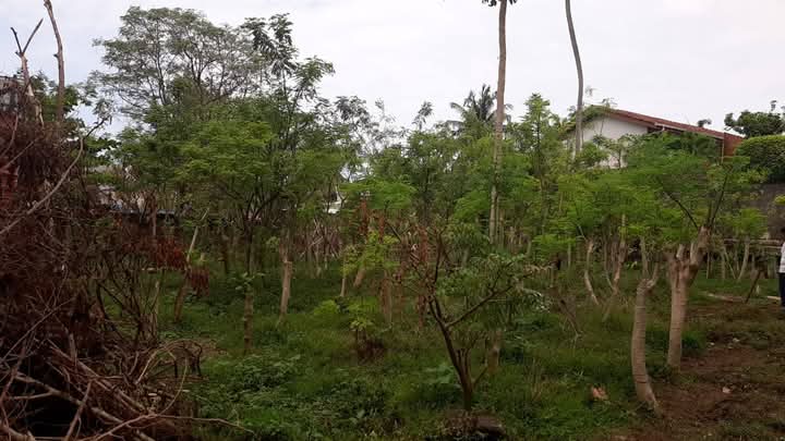 Agricultural Land for Sale in Kalubowila ads-image-1