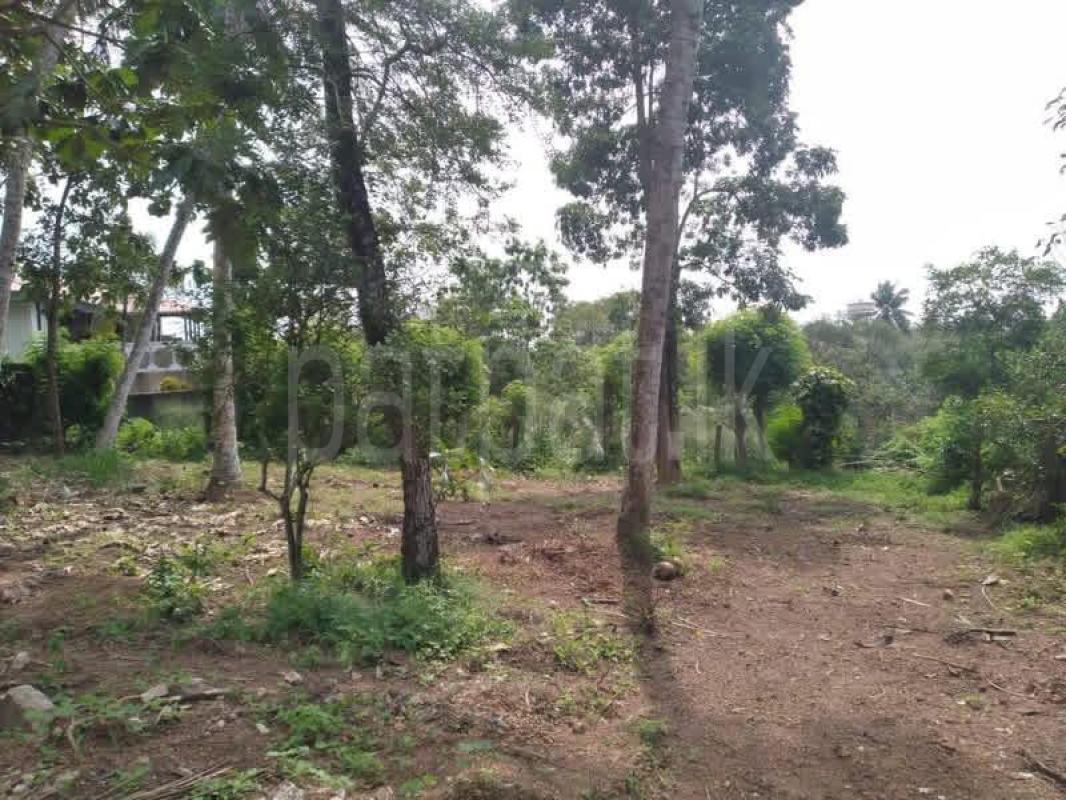 Commercial Land for Sale in Malabe
