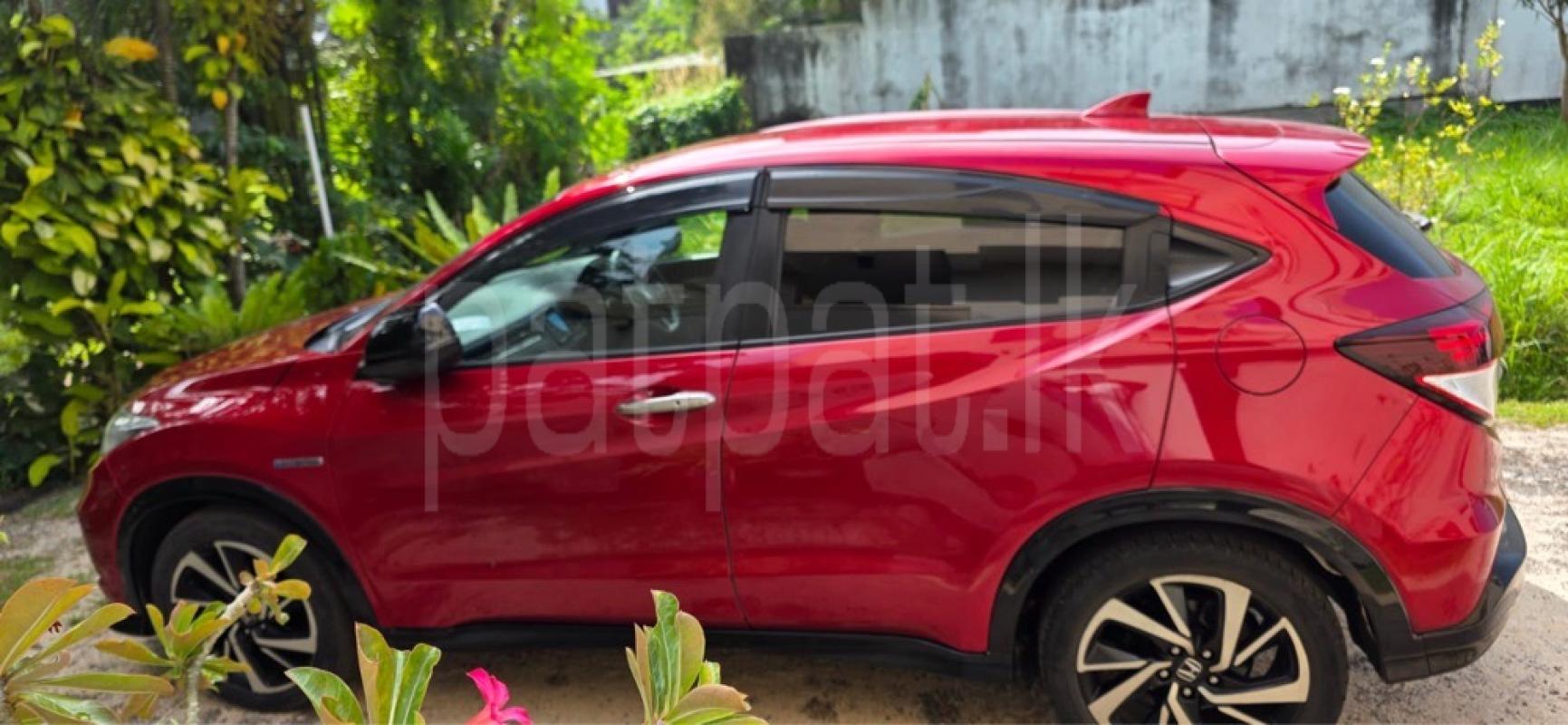 Advertisement image 6