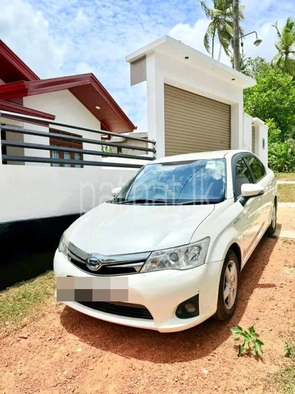 Advertisement image 3