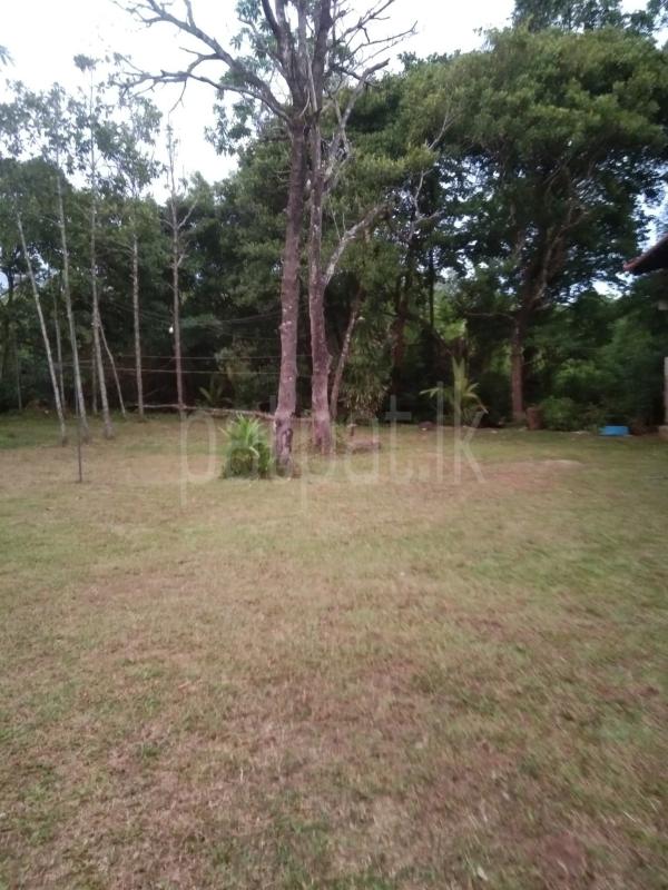 Commercial Land for Sale in Unawatuna