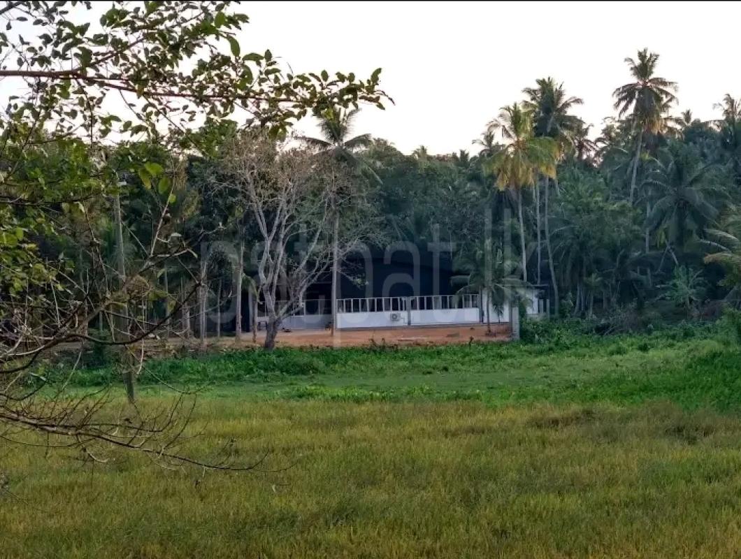 Residential Land for Sale in Veyangoda