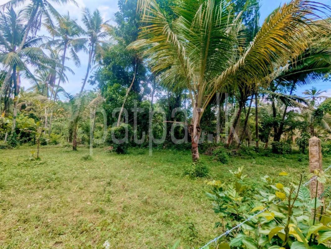 Residential Land for Sale in Marandagahamula