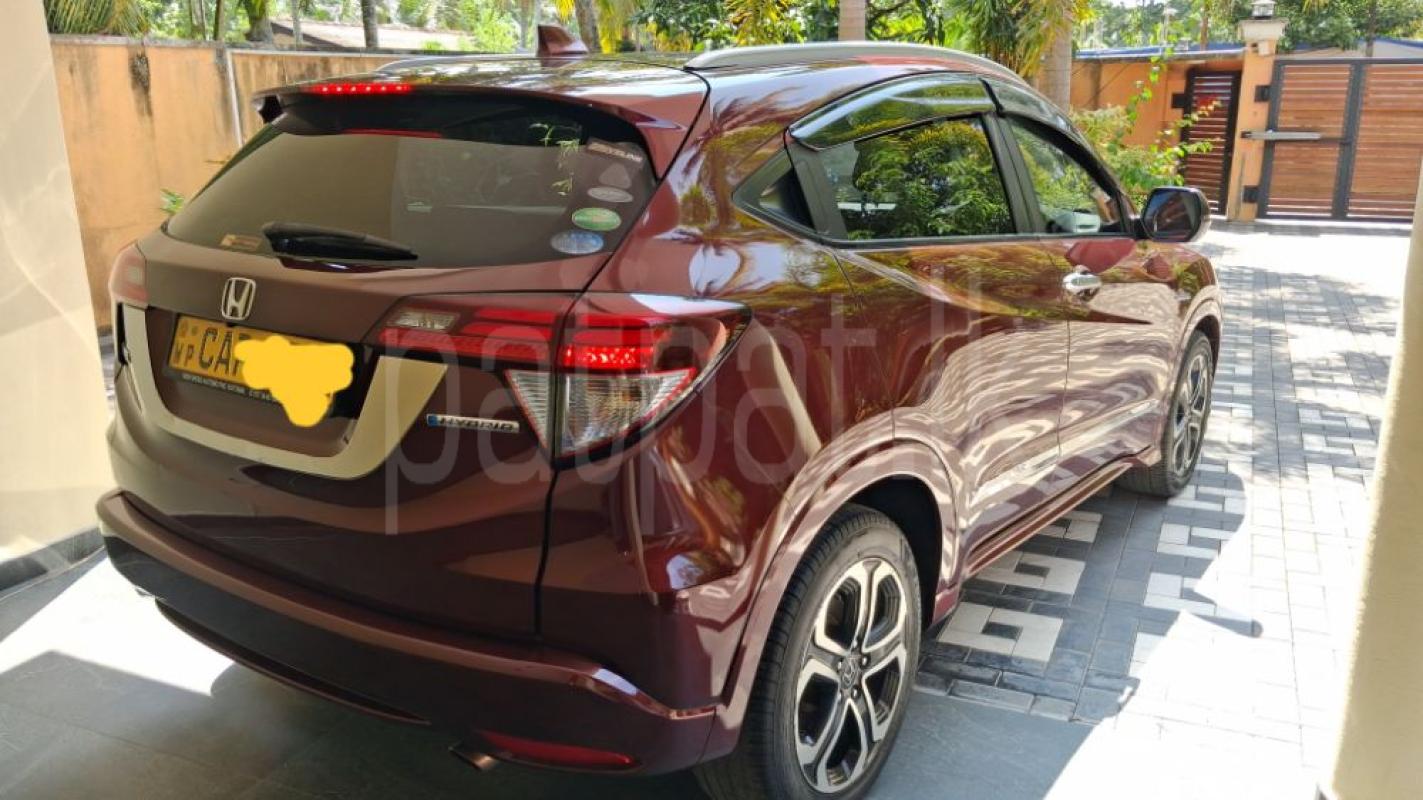 Advertisement image 4