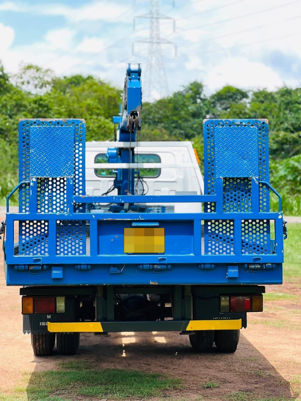 Isuzu ELF 1991 - பயன்படுத்தப்பட்டது டிரக் sale in Sri Lanka - patpat.lk