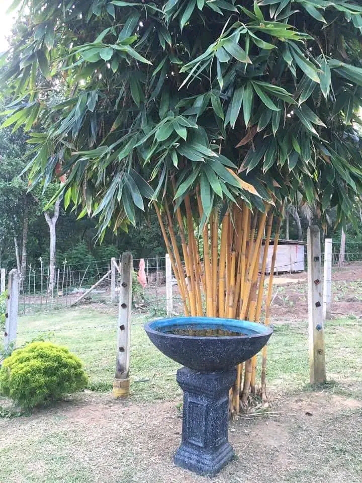 House for Sale in Tangalla