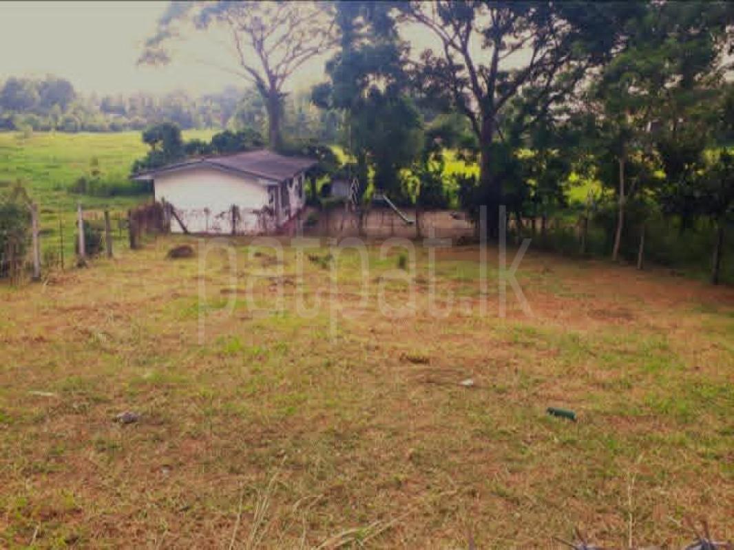 Residential Land for Sale in Mattegoda ads-image-1