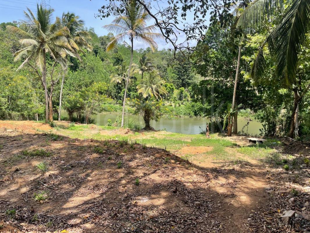 Residential Land for Sale in Balangoda