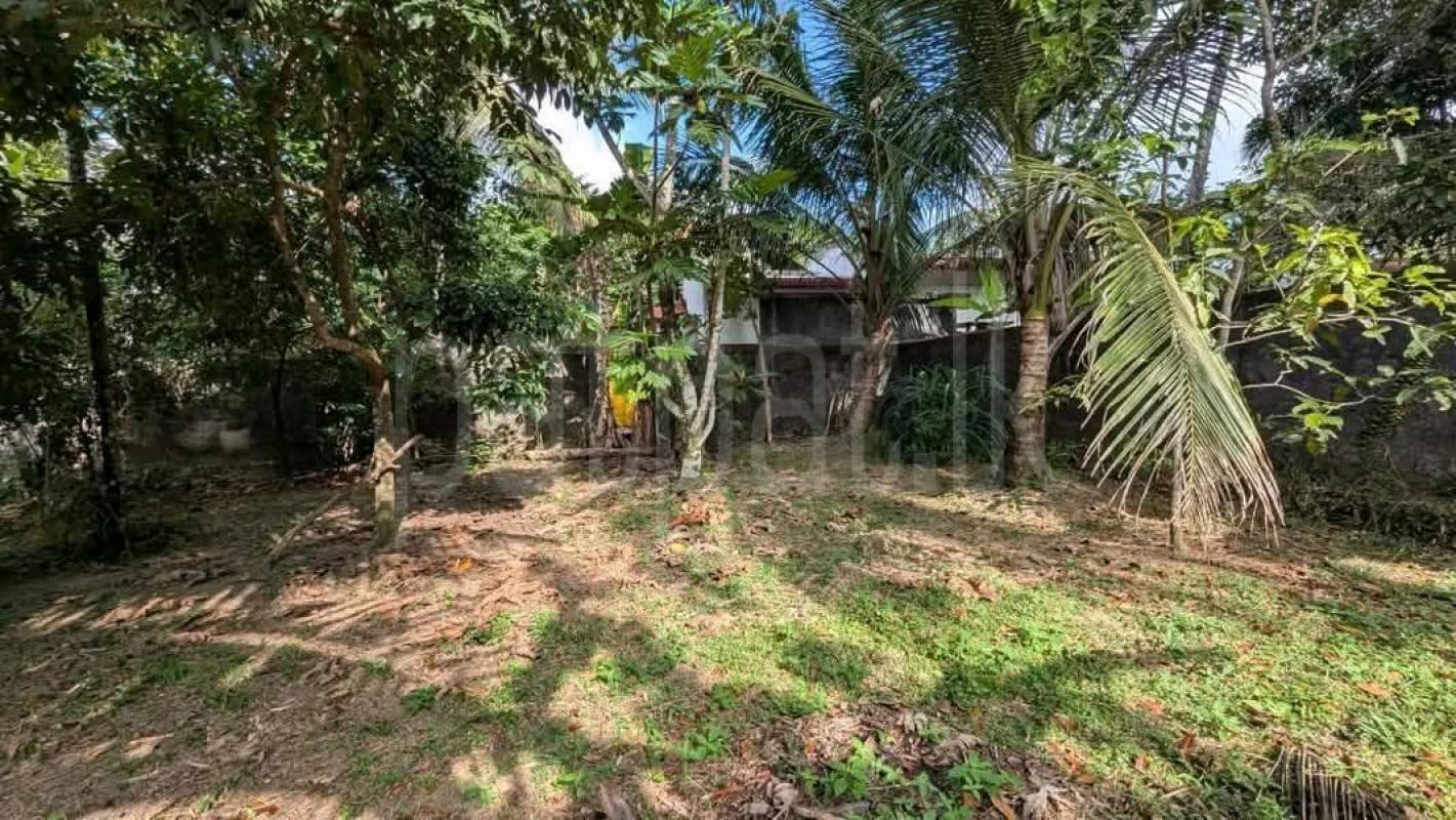 Residential Land for Sale in Pamunugama