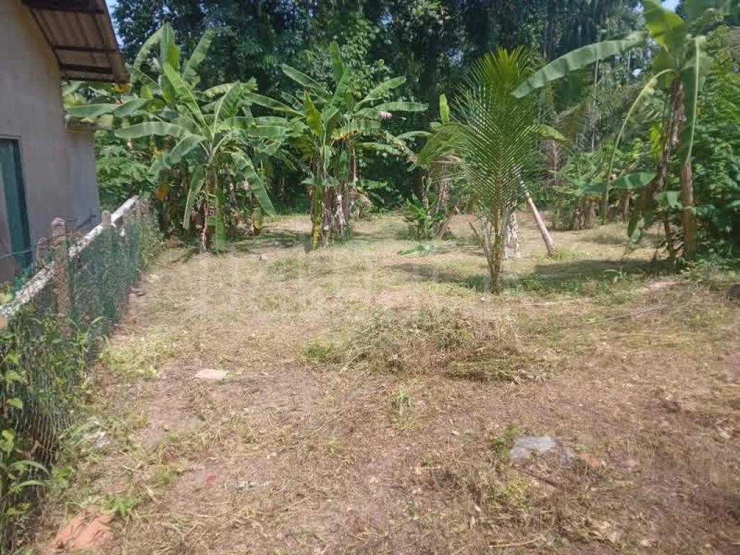 Residential Land for Sale in Kadawatha