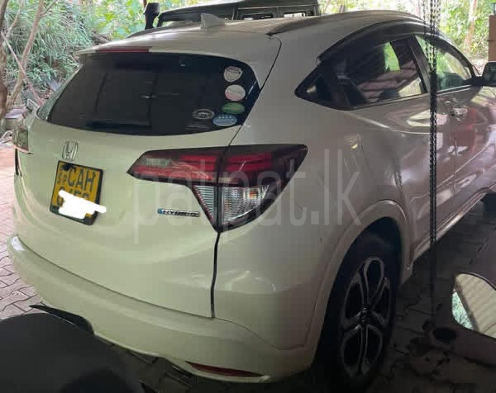 Advertisement image 2