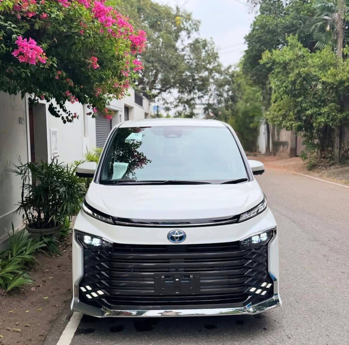 Toyota Voxy 2025 ads-image-1