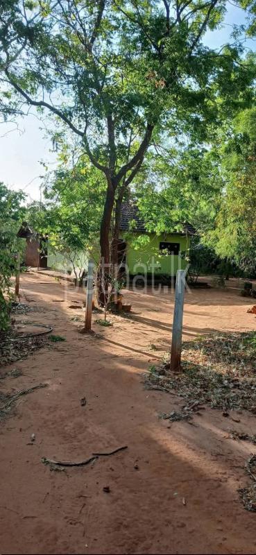 Residential Land for Sale in Kataragama