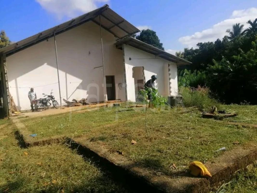 Advertisement image 5