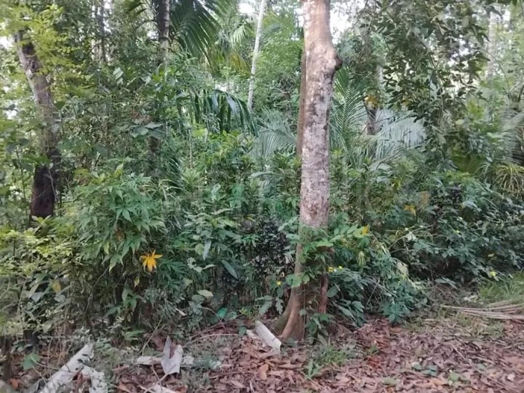 Residential Land for Sale in Galewela
