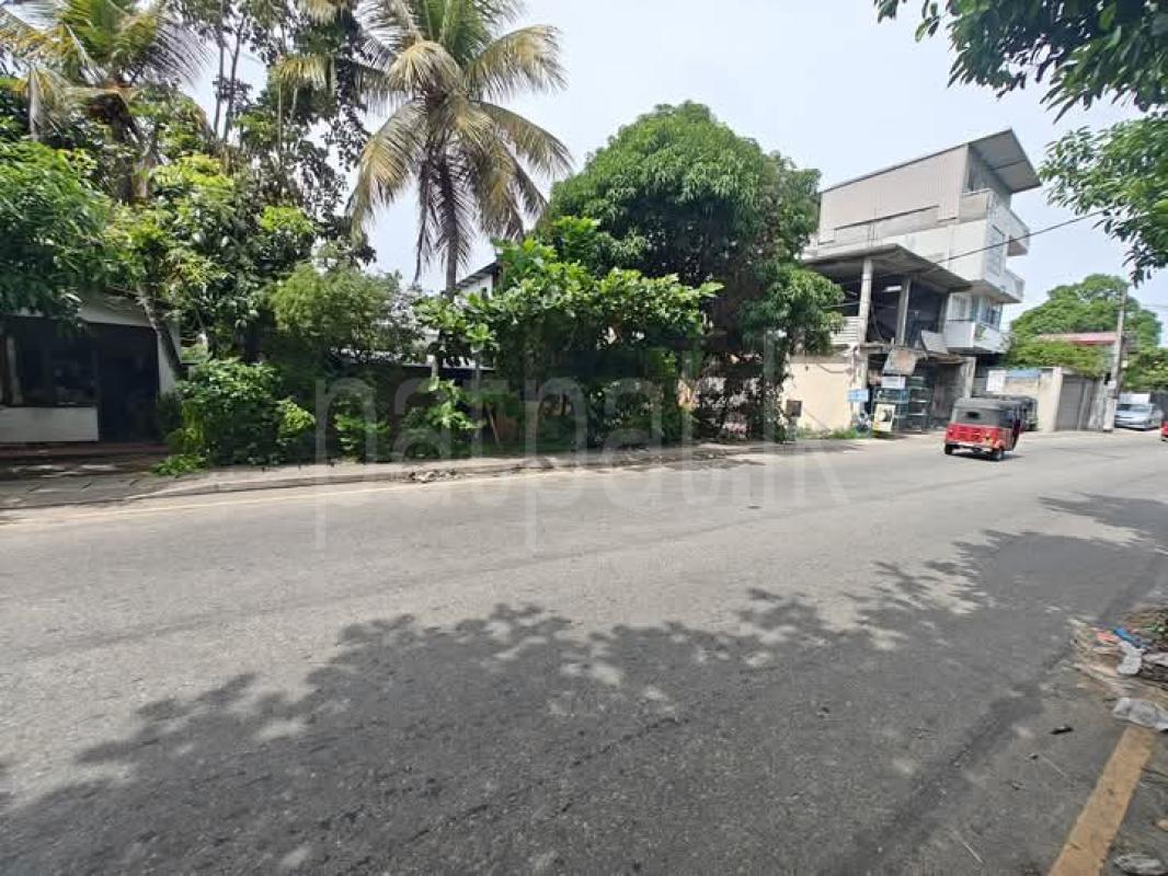 Agricultural Land for Sale in Rajagiriya ads-image-1