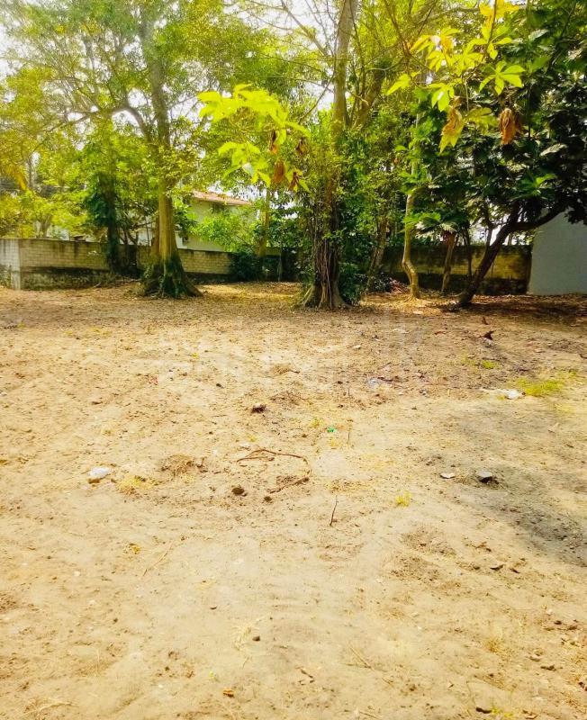 Commercial Land for Sale in Unawatuna