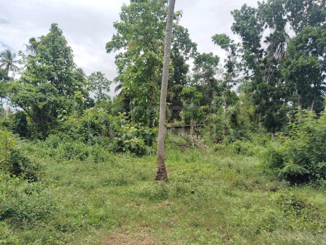 Agricultural Land for Sale in Narammala