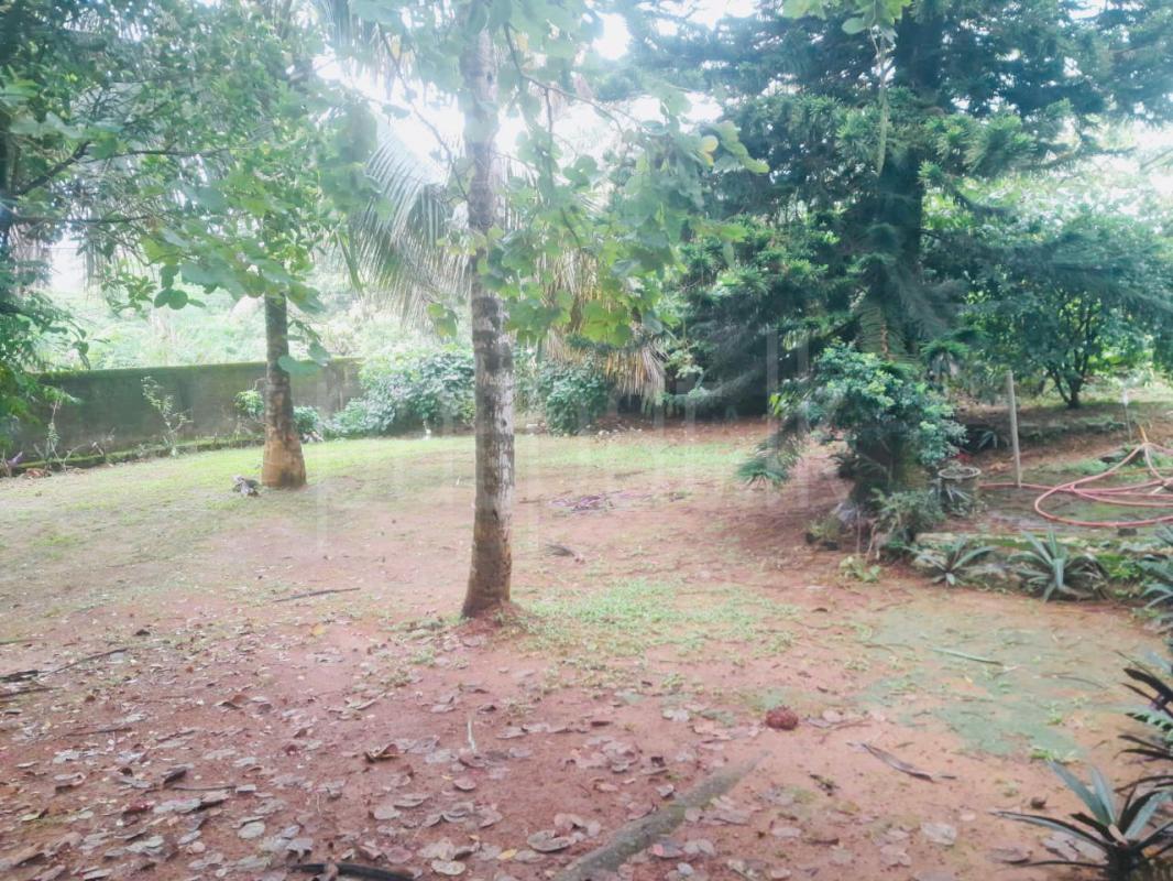 premium-listing-image