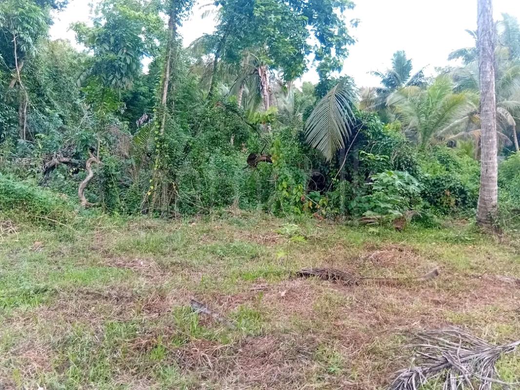 Agricultural Land for Sale in Mawathagama