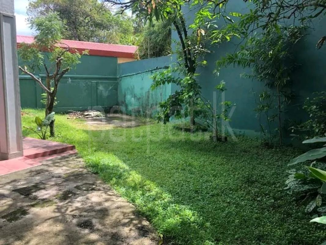 House for Sale in Pita Kotte