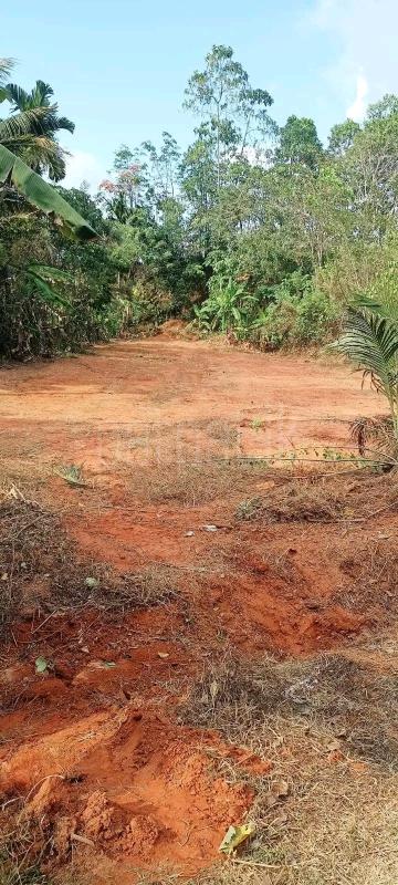 Commercial Land for Sale in Maho