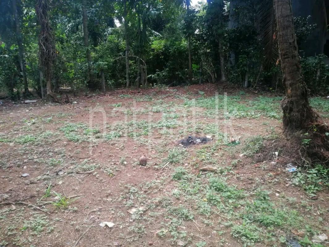 Agricultural Land for Sale in Ridigama