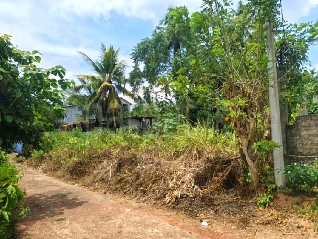 Commercial Land for Sale in Minuwangoda