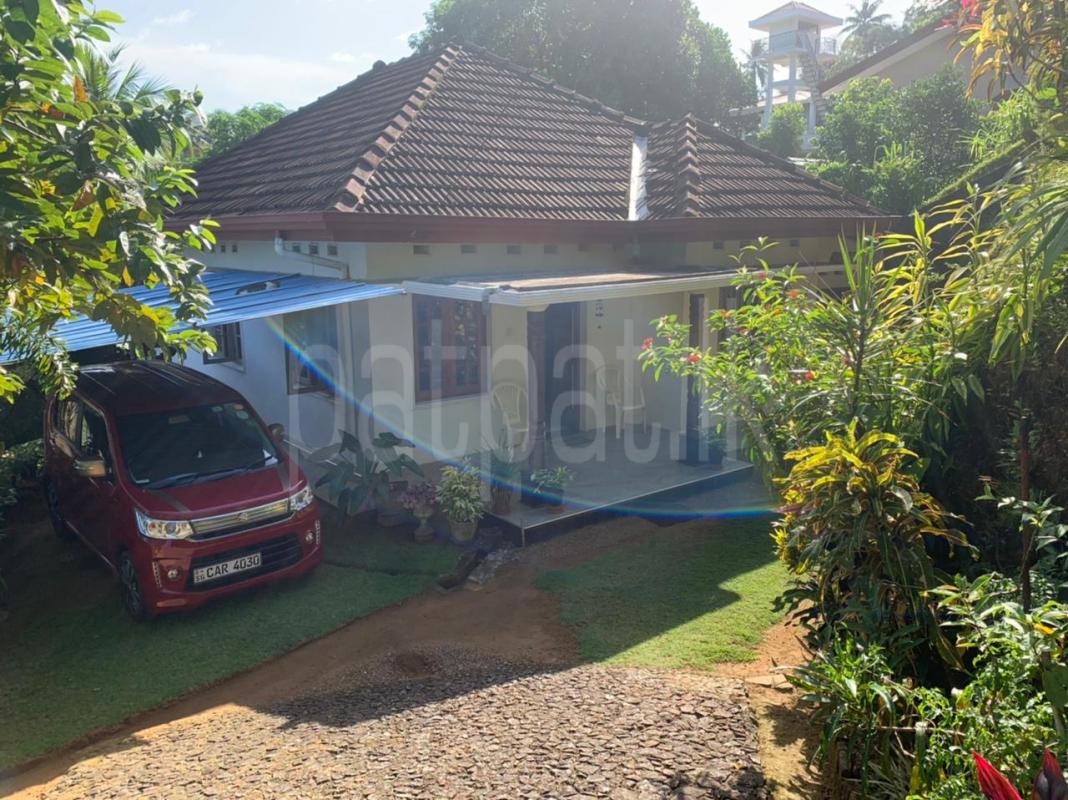 premium-listing-image