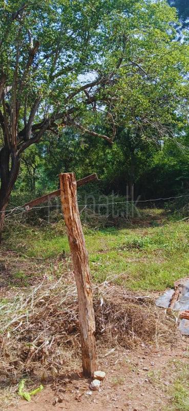 Residential Land for Sale in Kataragama