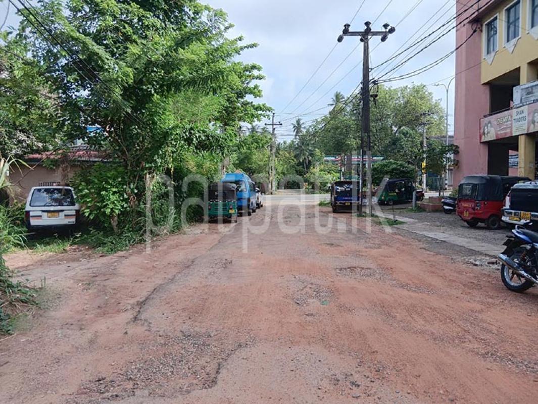 Agricultural Land for Sale in Nittambuwa ads-image-1