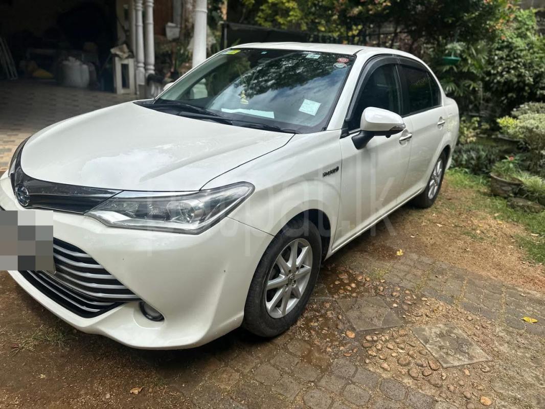 Advertisement image 2