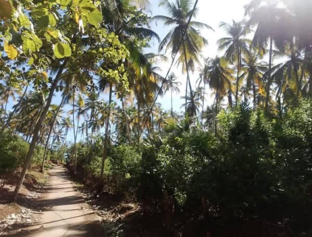 Agricultural Land for Sale in Walasmulla ads-image-1