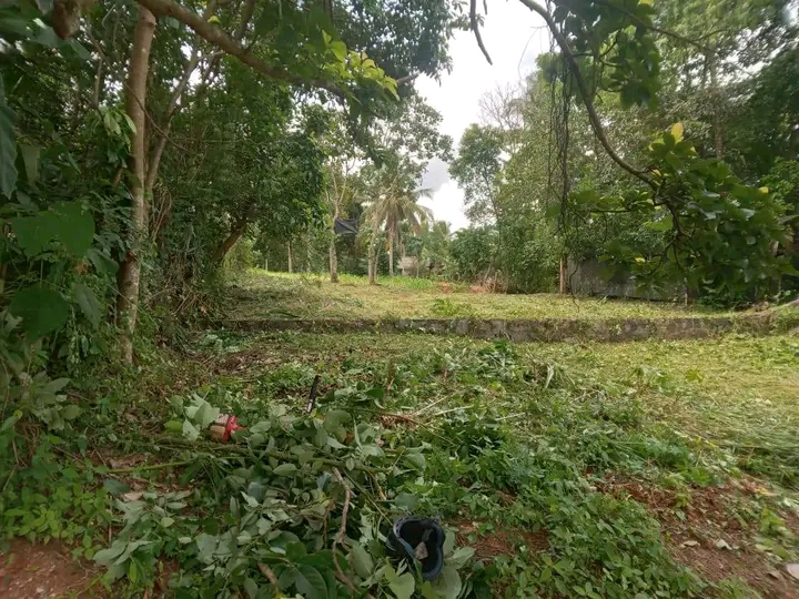 Commercial Land for Sale in Veyangoda