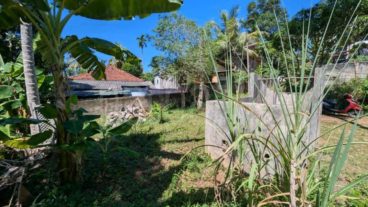 Residential Land for Sale in Ragama