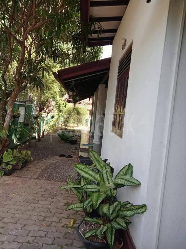 House for Sale in Kirillawala