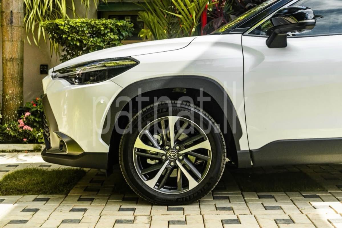 Advertisement image 3