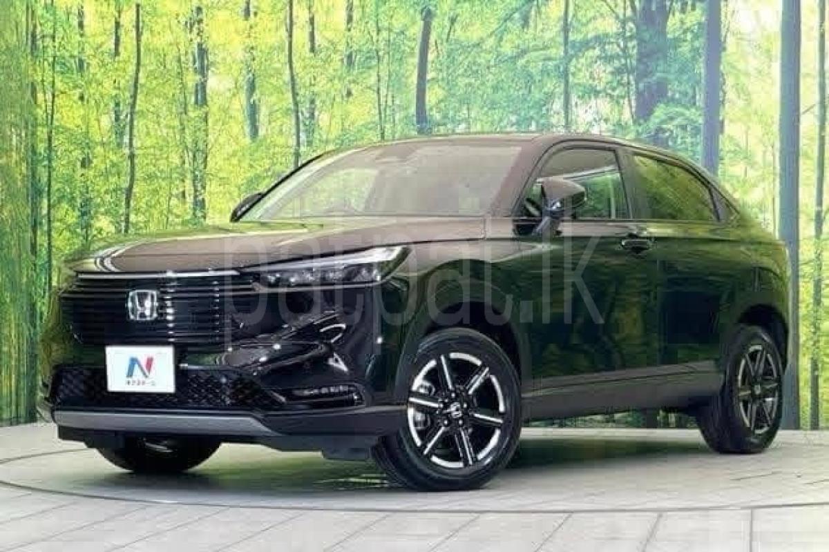 Advertisement image 1