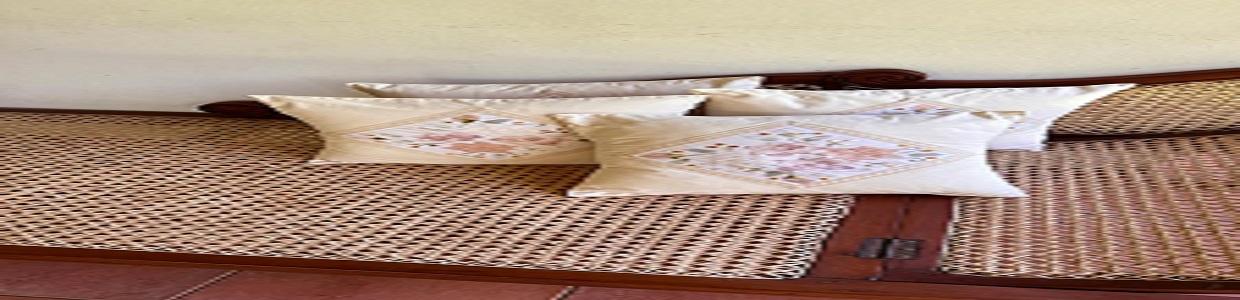 Priyani lace cover photo