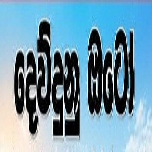Devdunu Auto Badulla logo