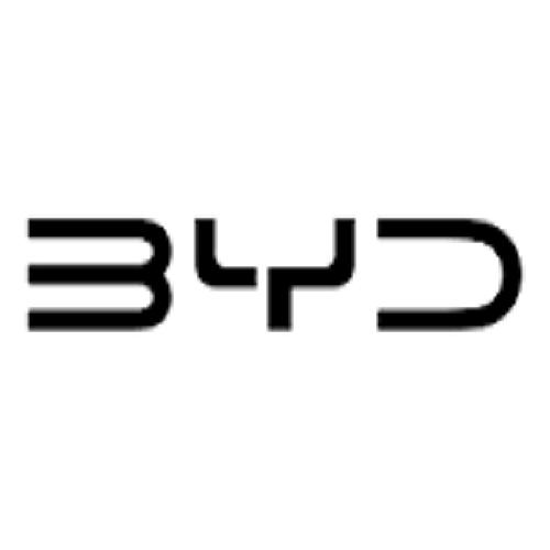 BYD Kandy logo