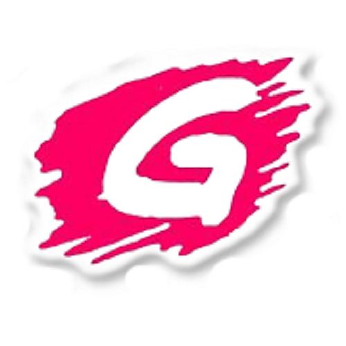 Gayathri CCTV PVT Ltd logo