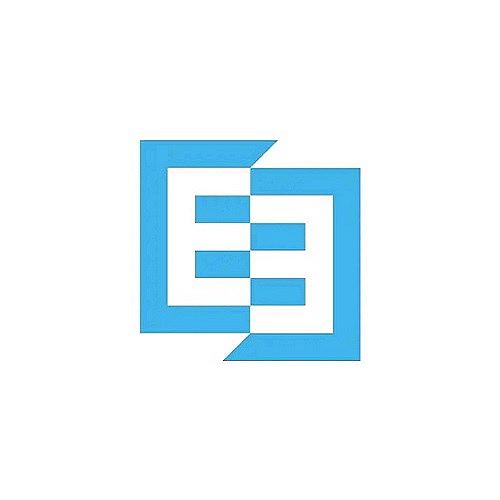 Easy Ever logo
