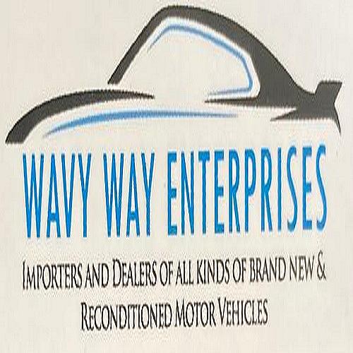 WAVY WAY ENTERPRISES logo