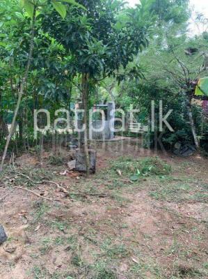 premium-listing-image